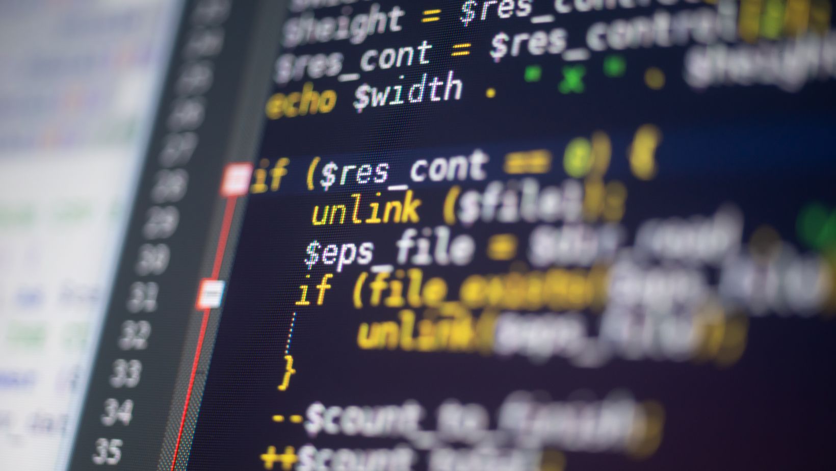 what programming languages did bill gates develop?